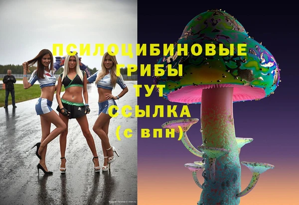 mix Гусиноозёрск