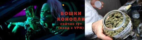 первитин Новодвинск