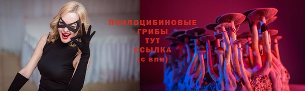 мет Новозыбков