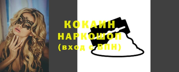 первитин Новодвинск