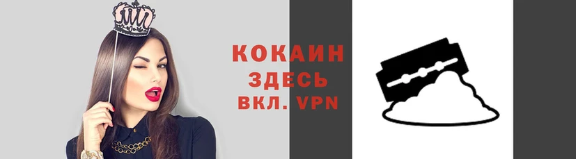 мет Новозыбков