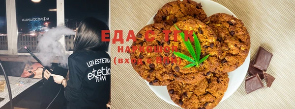 мет Новозыбков