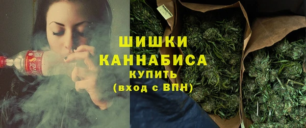 первитин Новодвинск