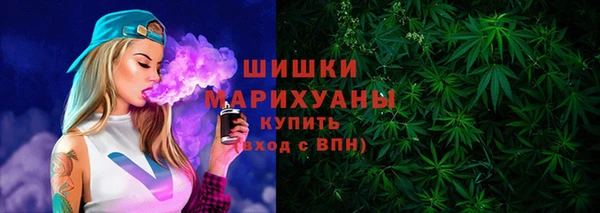 первитин Новодвинск