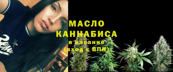 мет Новозыбков